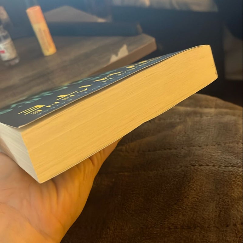 The Maid's Diary