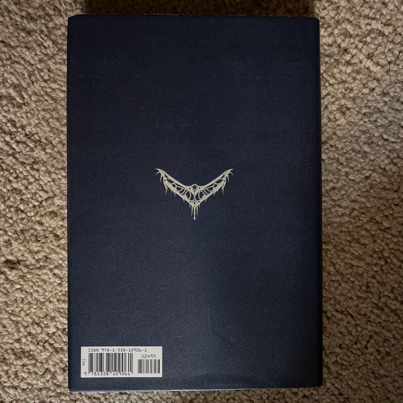Fantastic Beasts and Where to Find Them