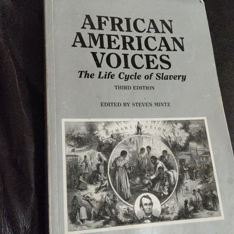 African American Voices The Life Cycle of Slavery 