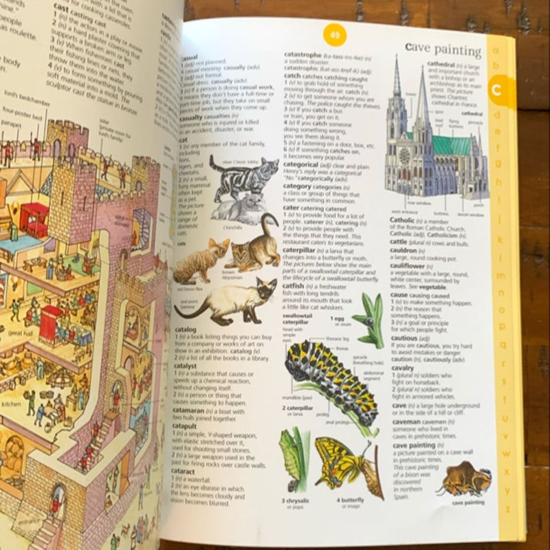 Usborne Illustrated Dictionary