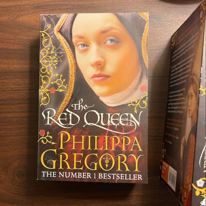 The Plantagenet and Tudor Novels