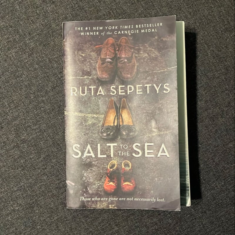 Salt to the Sea