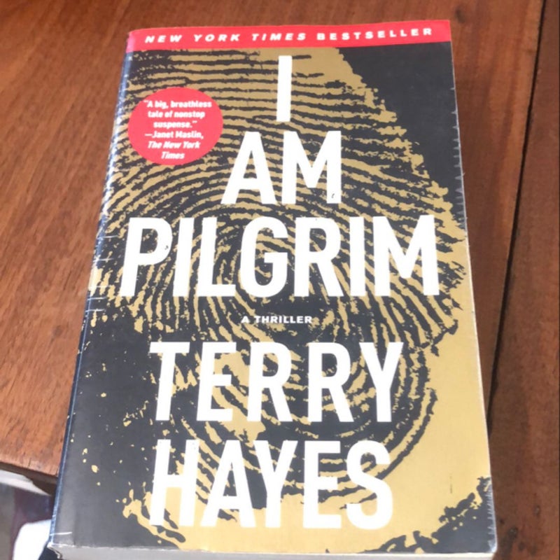 I Am Pilgrim