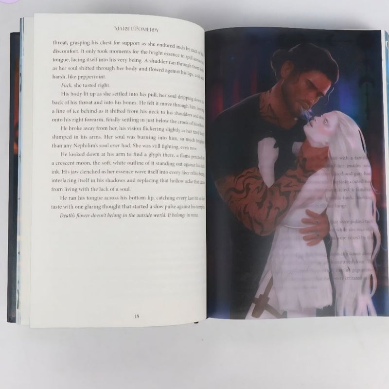 Moonlight Book Box Helfyre & Honey
