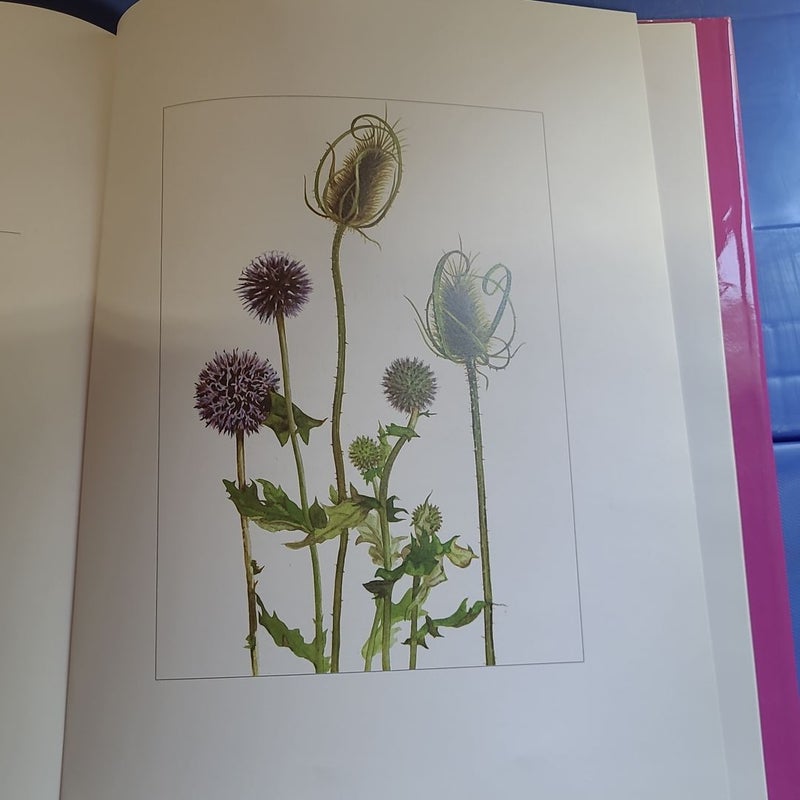 A Book of Flowers