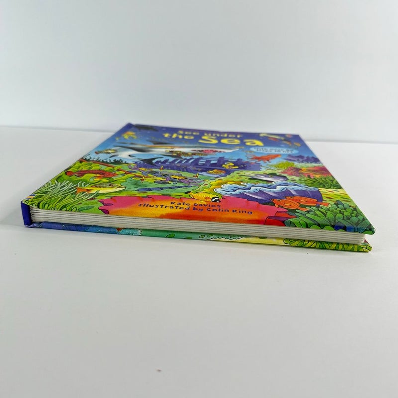 Usborne Flap Book-See Under the Sea