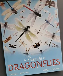 A Dazzle of Dragonflies