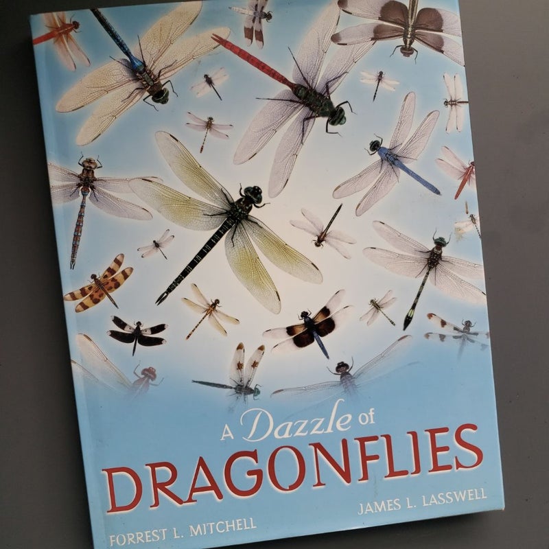 A Dazzle of Dragonflies