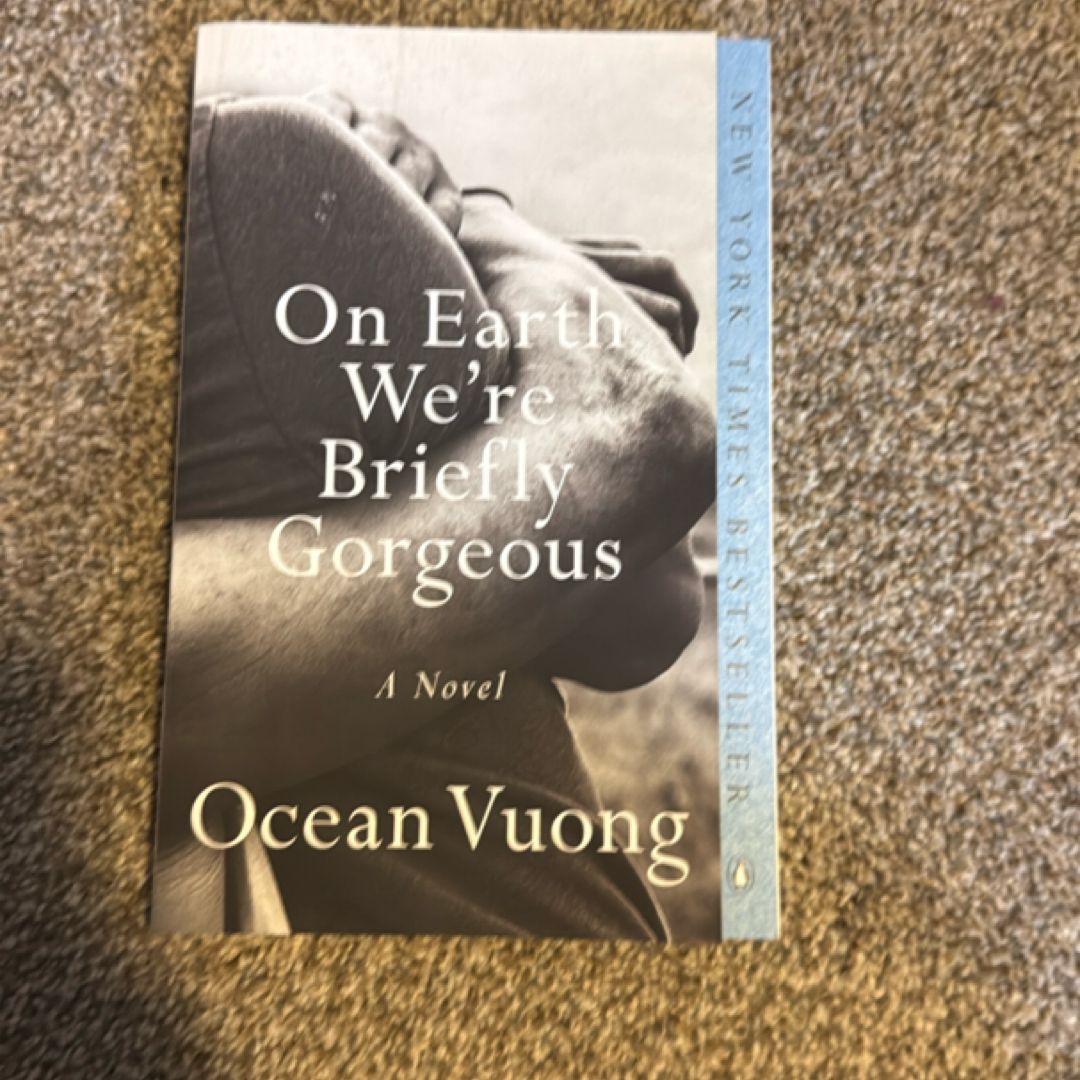 On Earth We're Briefly Gorgeous