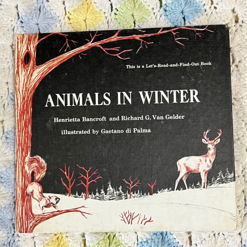 Animals in Winter 