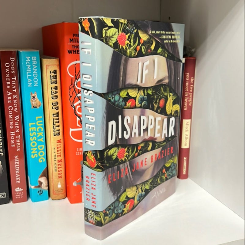 If I Disappear (Ex Library Book)