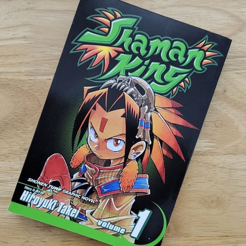 Shaman King, Vol. 1