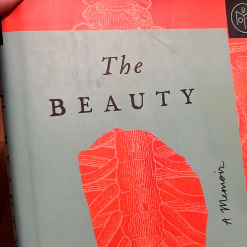 The Beauty in Breaking