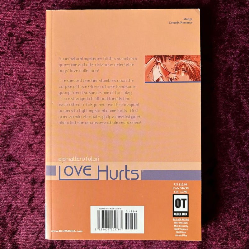 Love Hurts Aishiatteru Futari