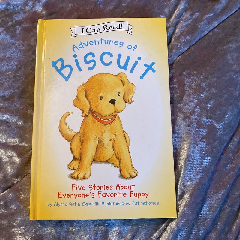 Adventures of Biscuit