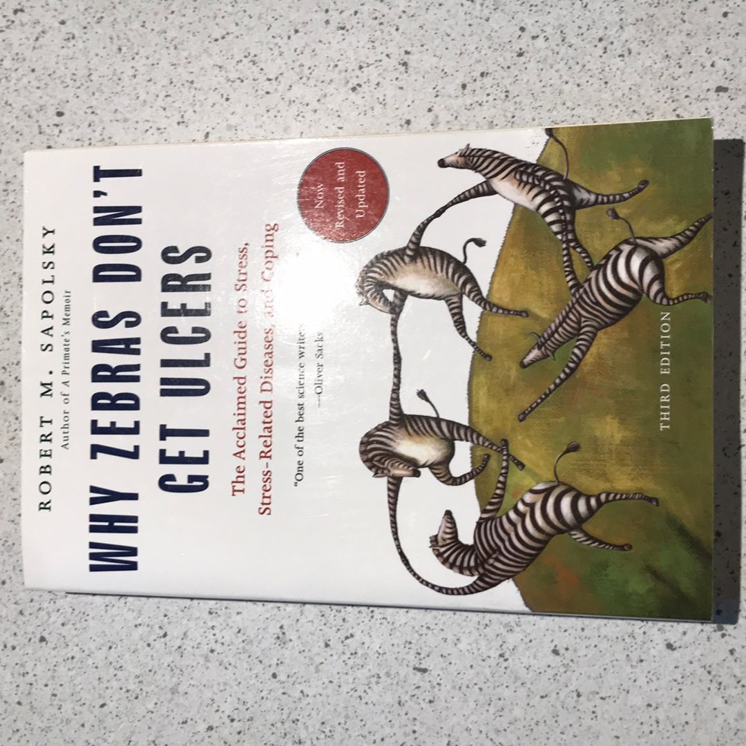 Sale image for 574388f0-1c43-4dba-84bc-aad965f20b29-Mmi1IyKQ7CRDmyFHpOWWE1F03DI3