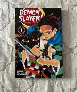 Demon Slayer: Kimetsu No Yaiba, Vol. 1