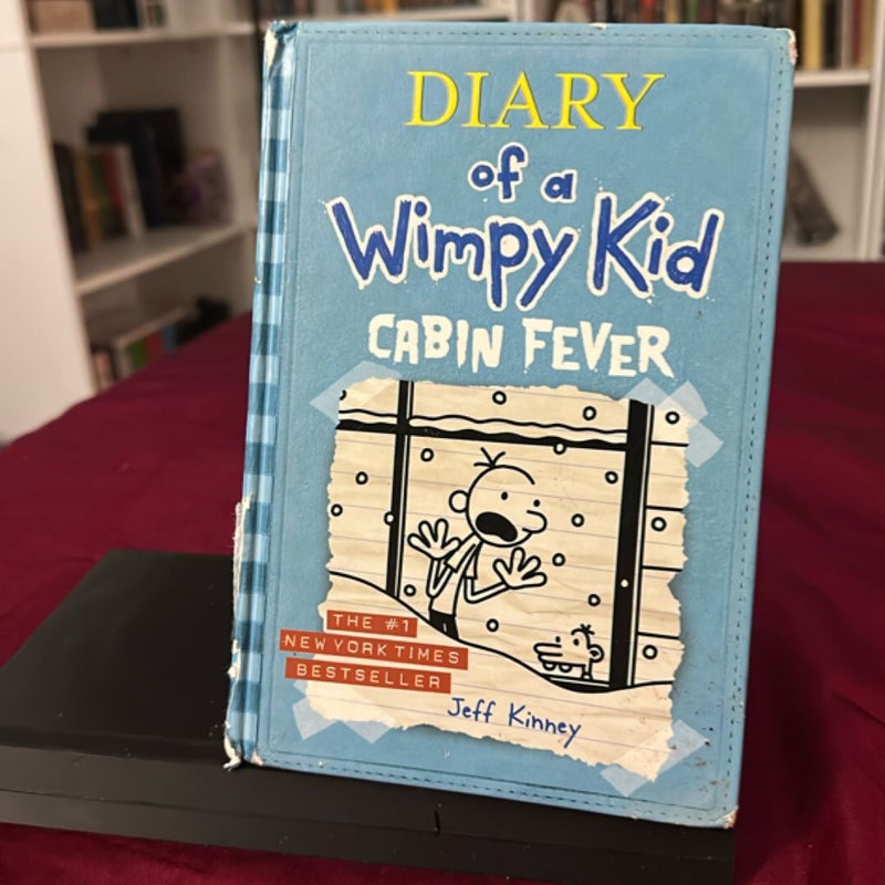 Diary of a Wimpy Kid # 6