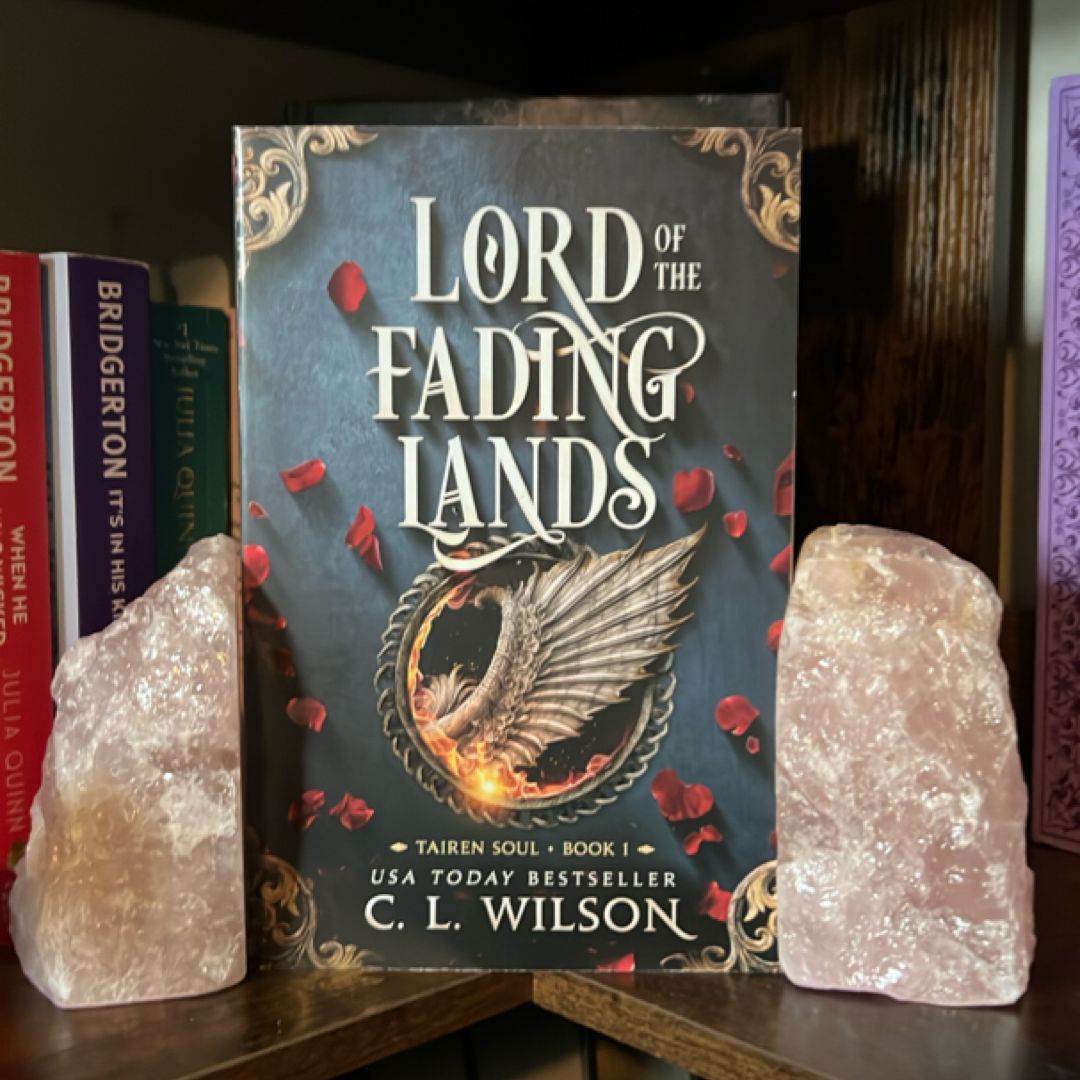 Lord of the Fading Lands