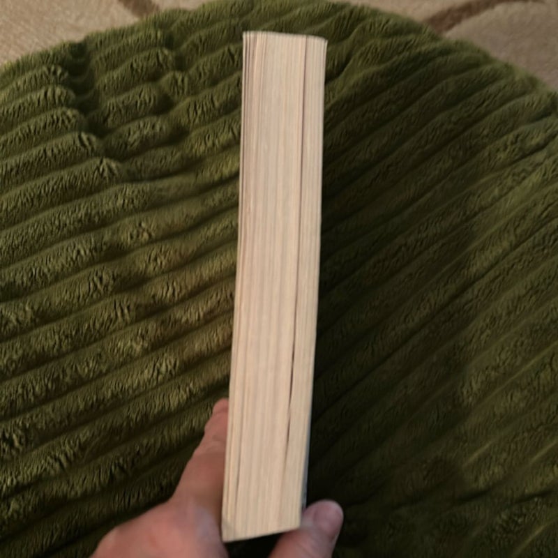 The Husband's Secret