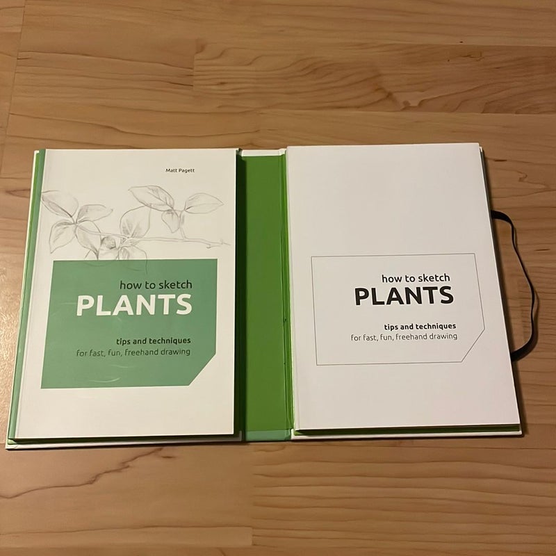 How to Sketch Plants