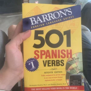 501 Spanish Verbs