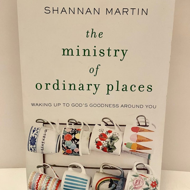 The Ministry of Ordinary Places