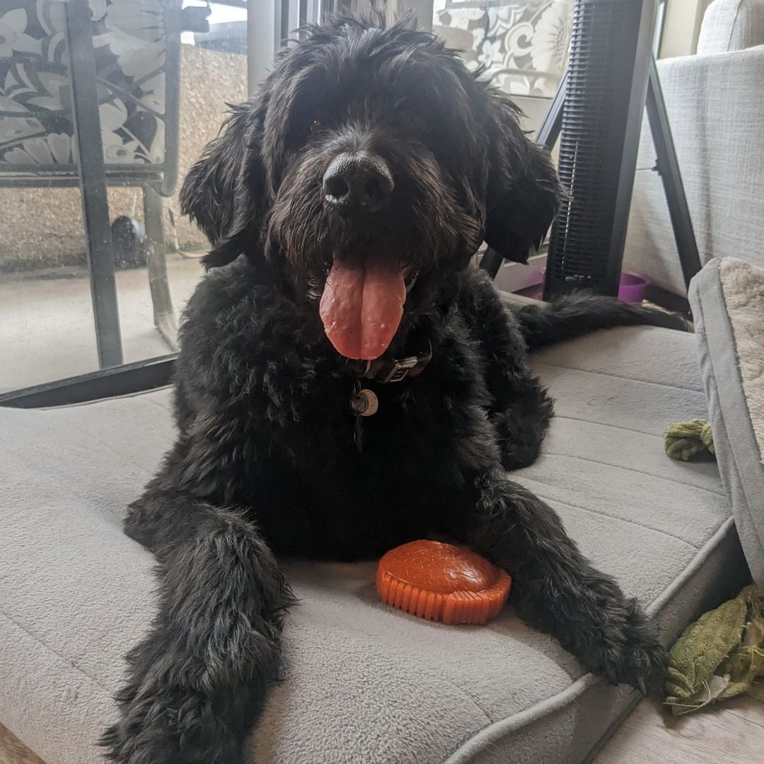 Sirriggie