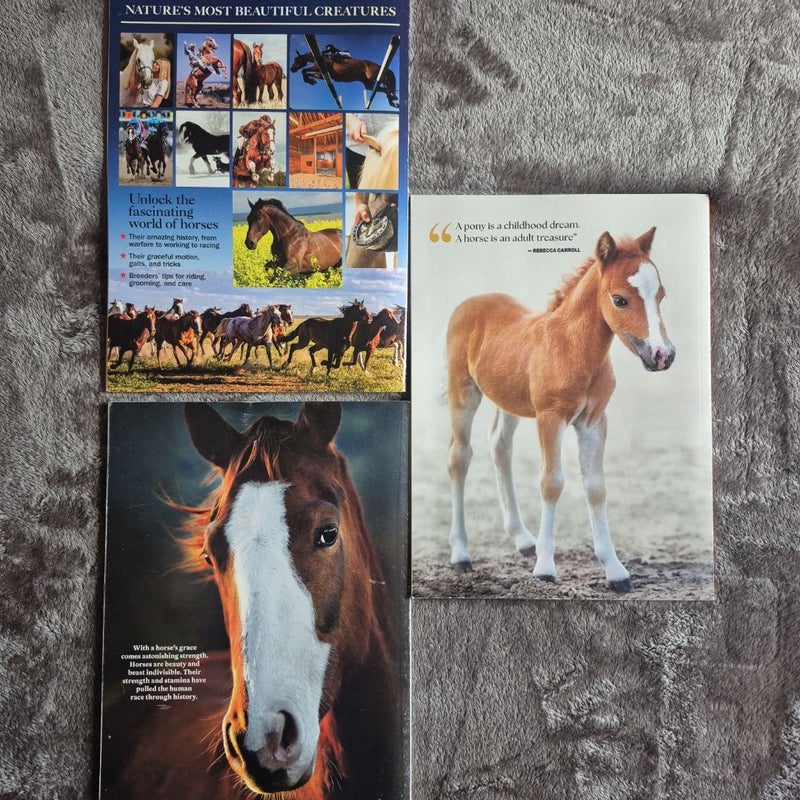 3 Magazines about Horses