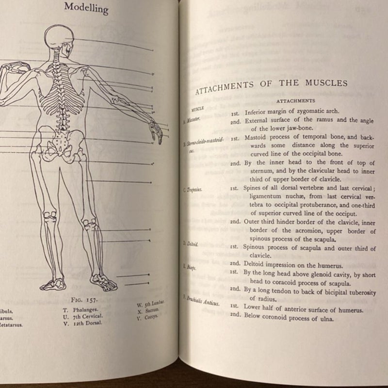 Modelling and Sculpting the Human Figure by Edouard Lanteri (1985)