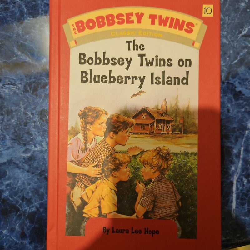 The Bobbsey Twins on Blueberry Island