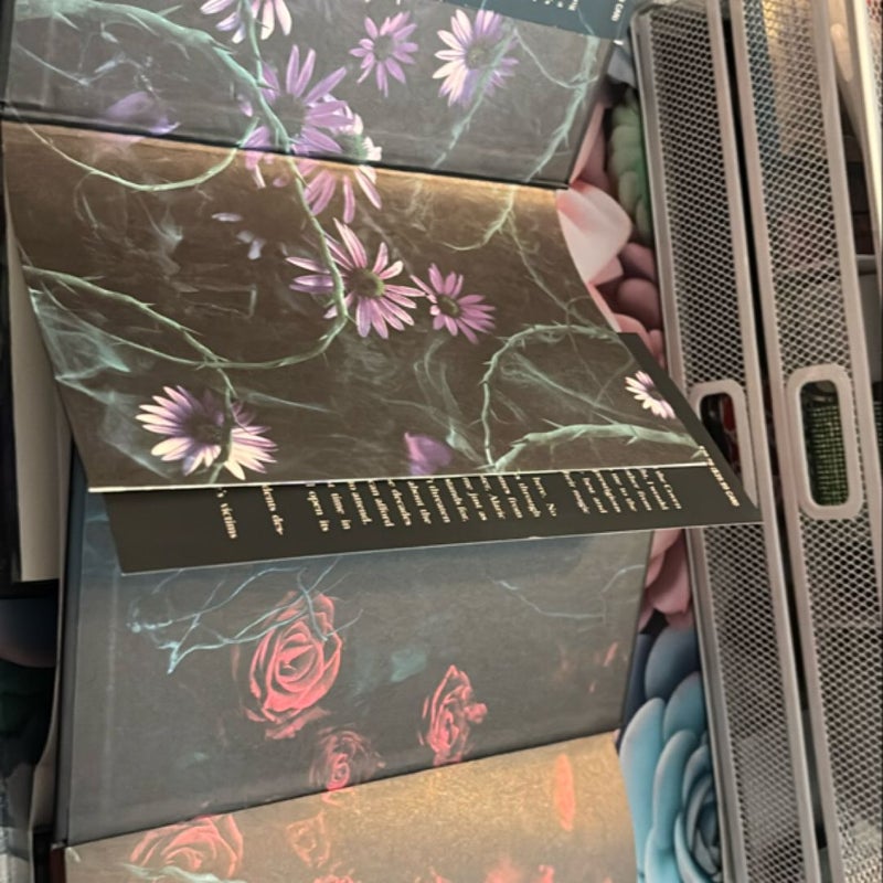 The Coven Bundle