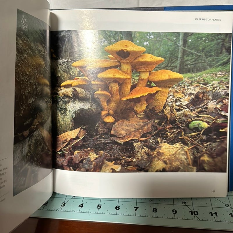 Wildlife Photograph of the Year Portfolio Three