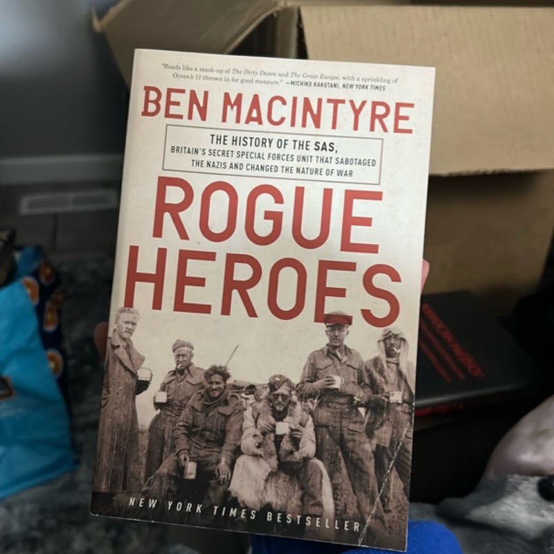 Rogue Heroes