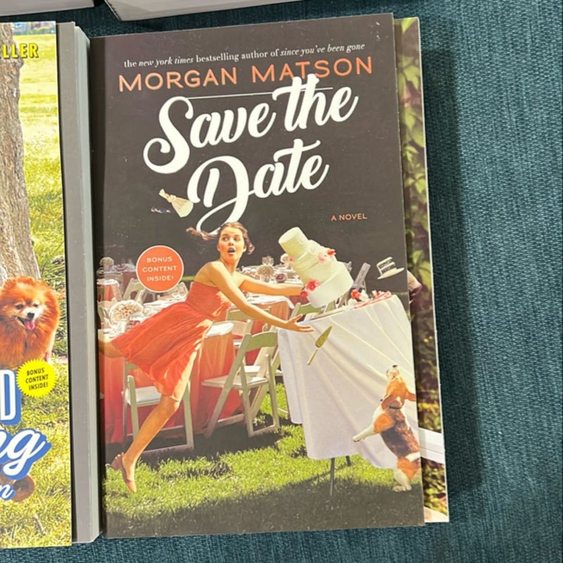 Morgan Matson paperback lot