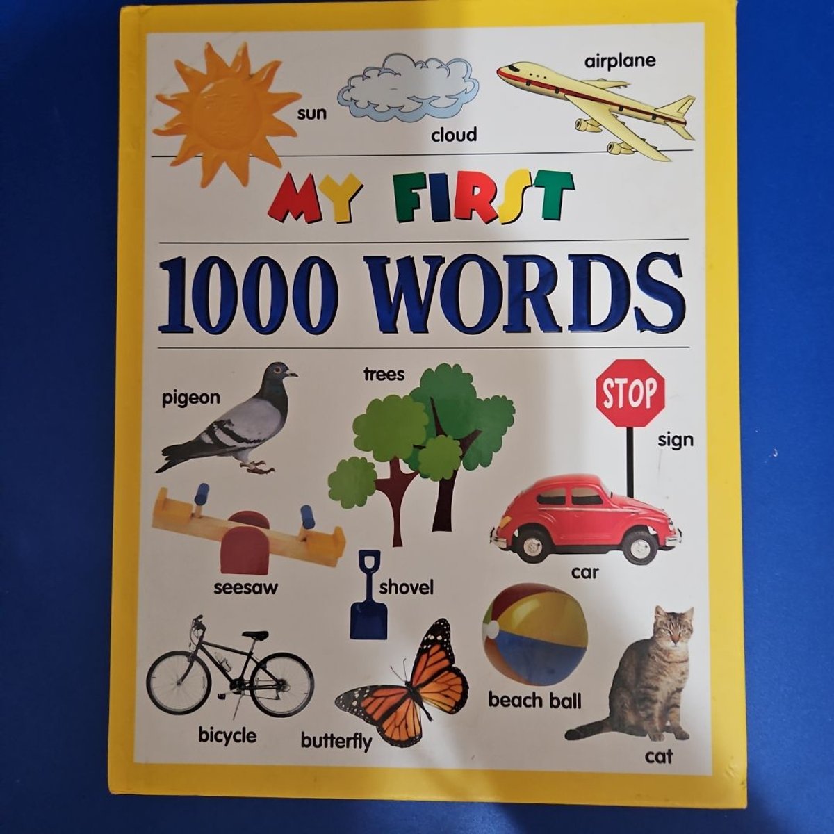 My First 1000 Words by Susan A. Miller