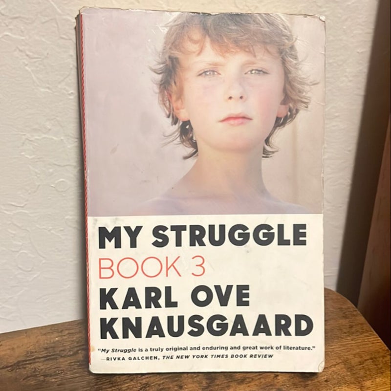 My Struggle: Book 3