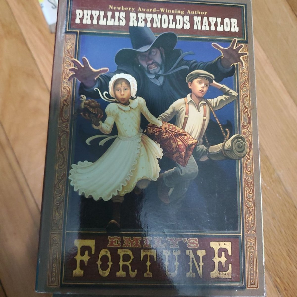 Emily's Fortune by Phyllis Reynolds Naylor