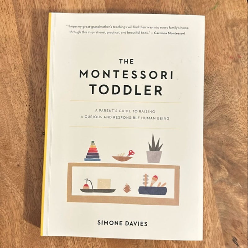 The Montessori Toddler