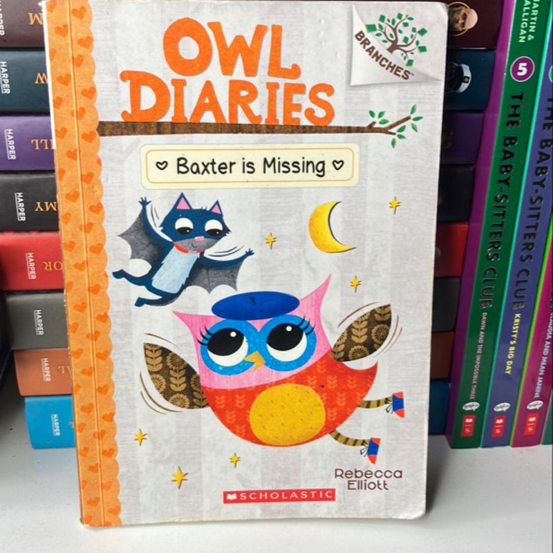 Baxter Is Missing - A Branches Book