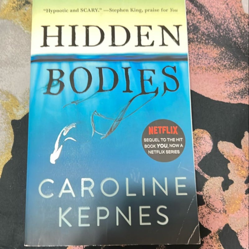 Hidden Bodies