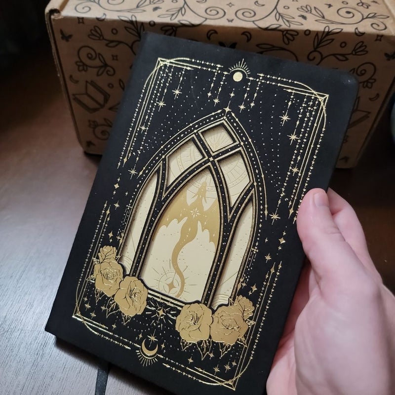 Fairyloot: Selections from the Dec YA book box