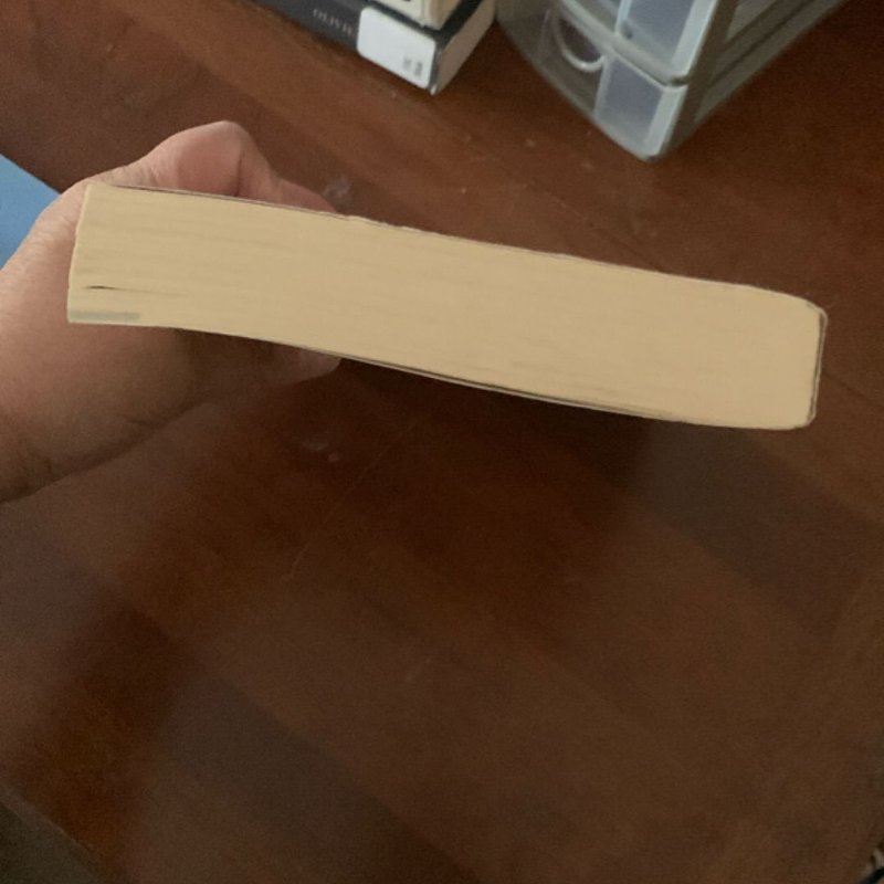 Good Kings Bad Kings