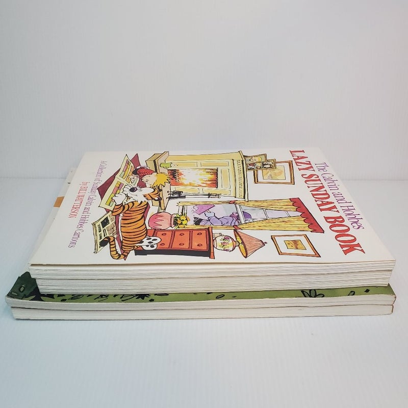 Bill Waterson Calvin And Hobbes Paperback Book Lot Of 4 Cartoon Collection