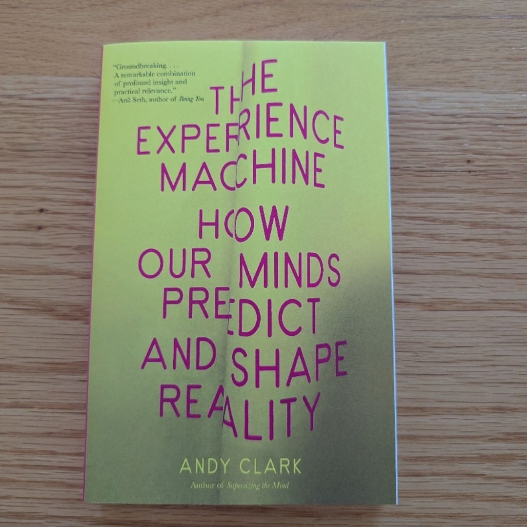 The Experience Machine