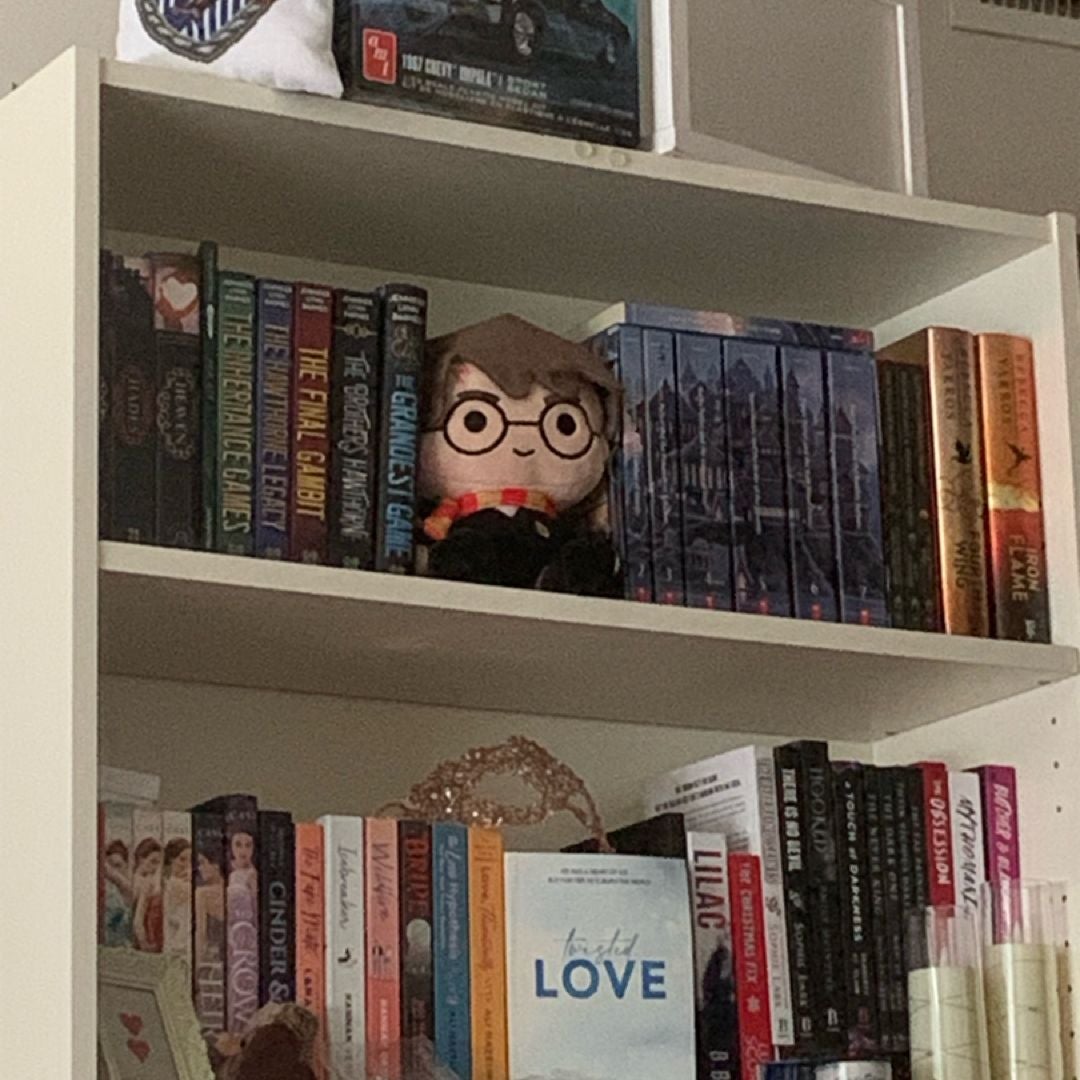 Paige's Shelf