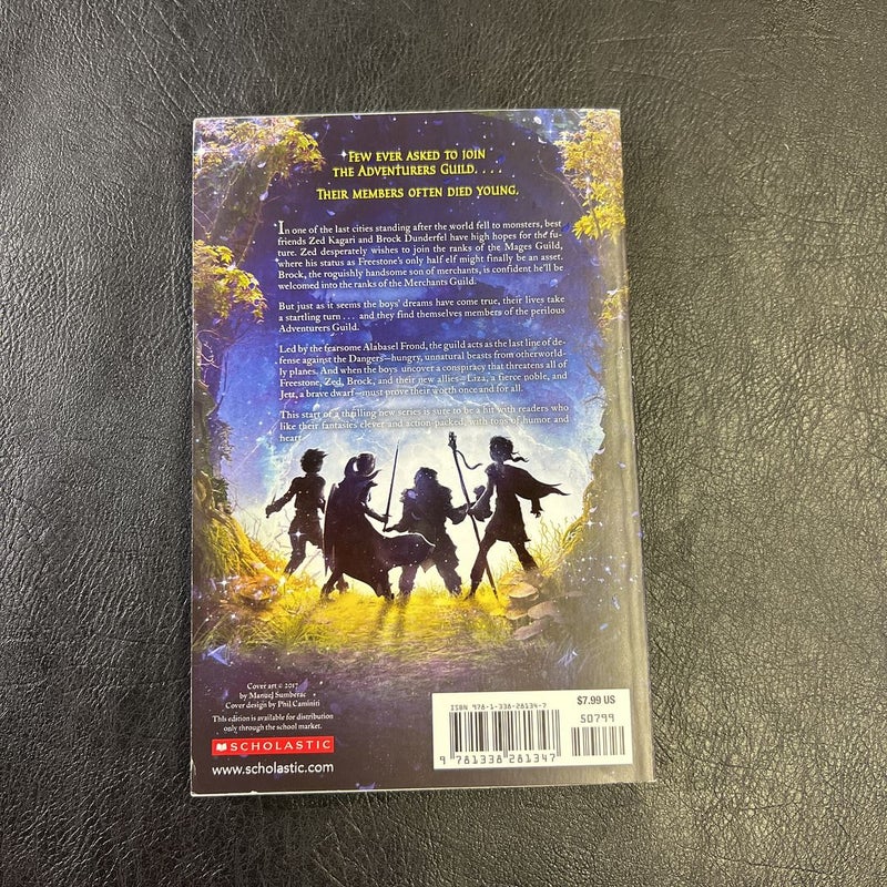 The Adventurers Guild (The Adventurers Guild, 1)