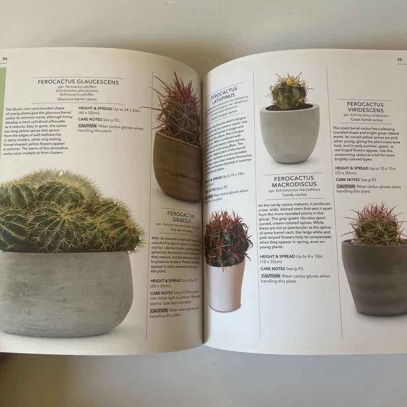 Practical Cactus and Succulent Book