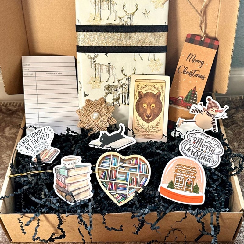 HOLIDAY *themed* Blind Date with a Book Box