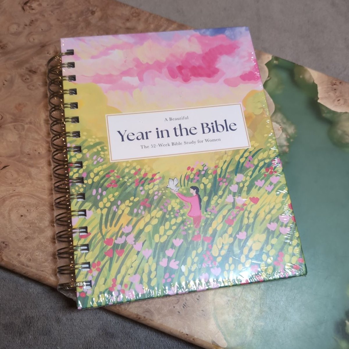 A Beautiful Year in the Bible: the 52-Week Bible Study for Women (SB ...